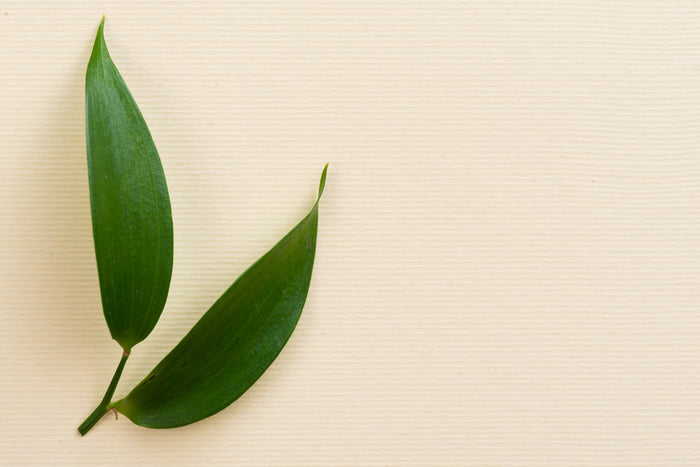  Hochwertige Inhaltsstoffe für die CP Skin Supplement Hautsupplements