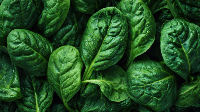 Mikronährstoffe, Vitamine und Spurenelemente für gepflegte Haut von innen